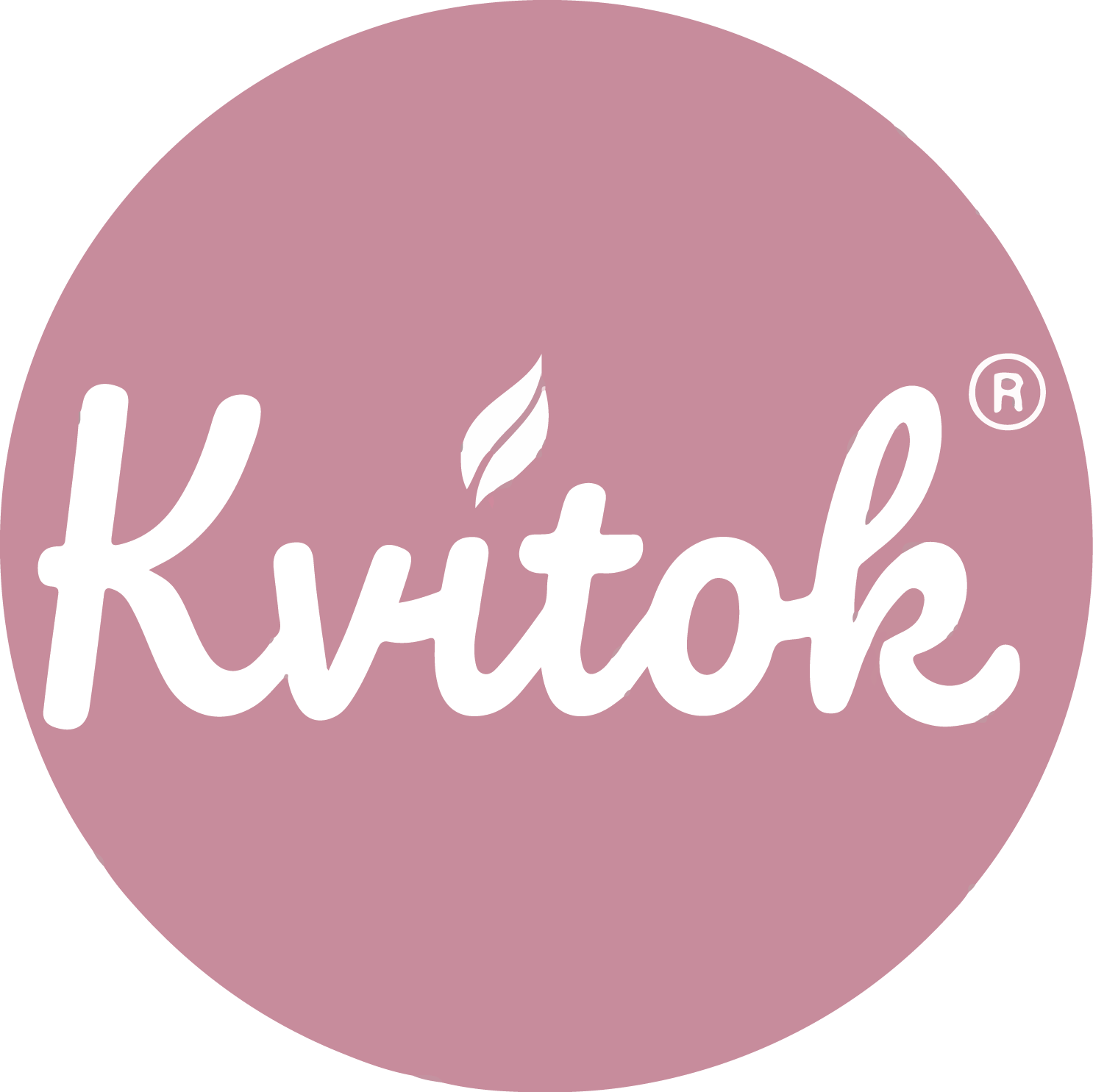 logo-ruzove